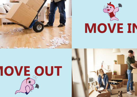 Move-In & Move-Out Cleaning Services