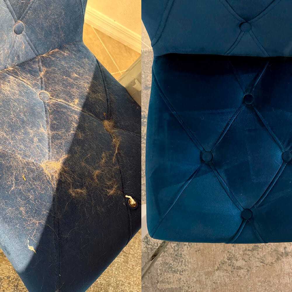 Prancheta 1 (8) Prancheta 1 (8)